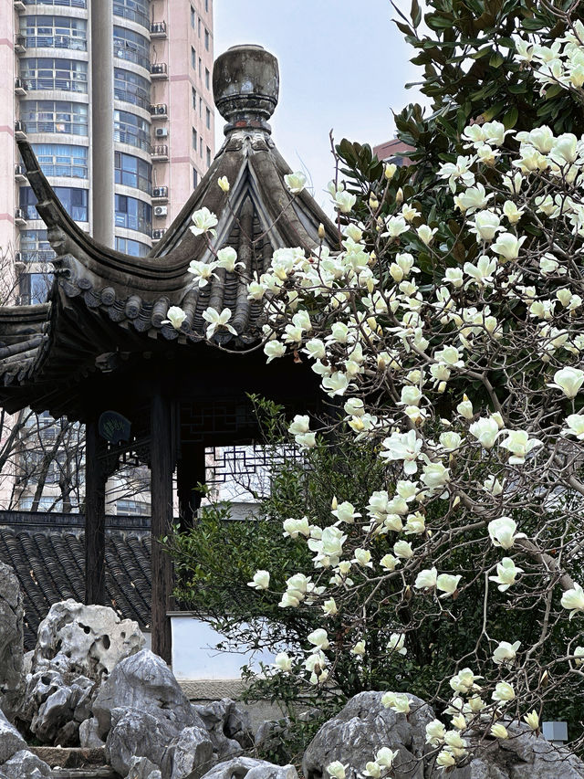 600年明朝重臣私家府邸，竟然藏在南京鬧市區