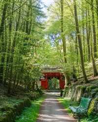 泉佐野市漫遊指南｜關西空港門戶小城