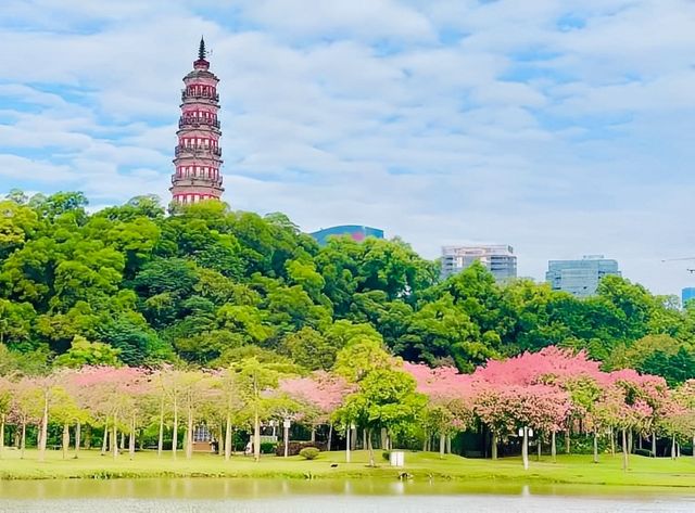 誰還不知道順德順峰山公園我會傷心的OK？