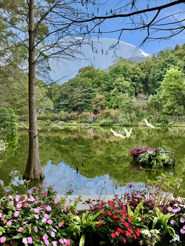 綠影婆娑：仙湖植物園的靜謐之旅