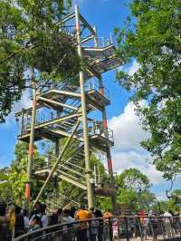 Singapore's New Rainforest Adventure Park Opens!