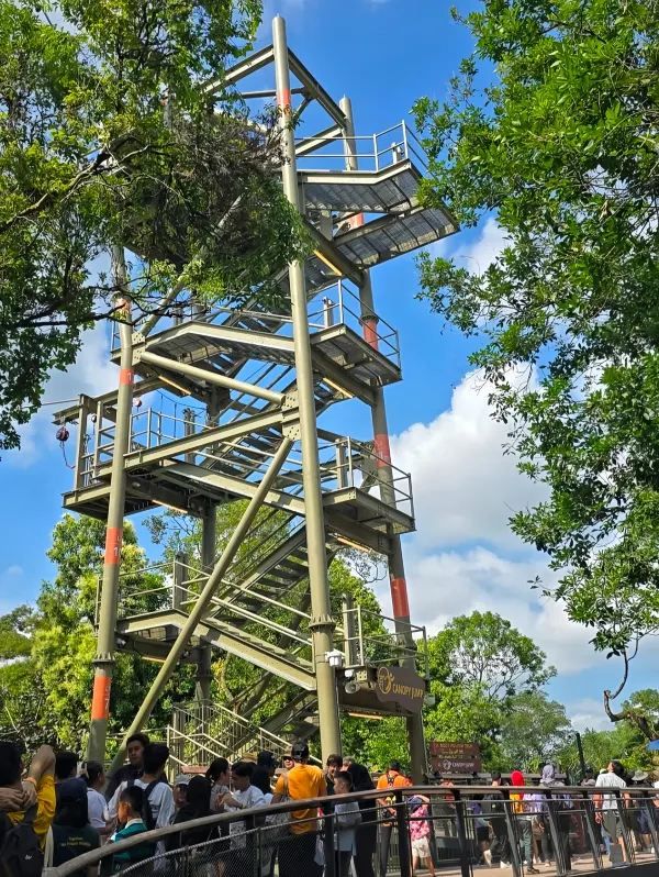 Singapore's New Rainforest Adventure Park Opens!