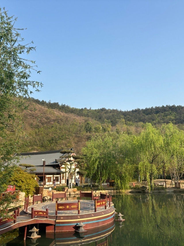 南京地鐵4號線直達，春花美到破防！