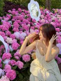 🌷珠海新貌 | 治愈系花海棧道，美翻啦🌸