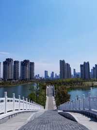 前灣新區｜被這片湖畔花海治癒了！人少免費速衝