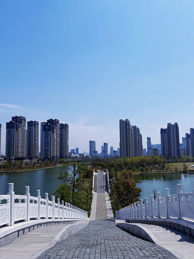 前灣新區｜被這片湖畔花海治癒了！人少免費速衝
