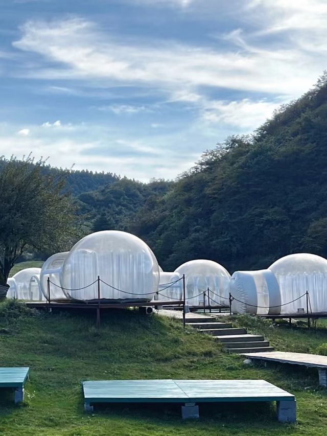 穿越四季，遇見不一樣的南天湖