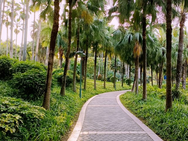 Pinghu Ecological Park: A Bustling City Green Paradise