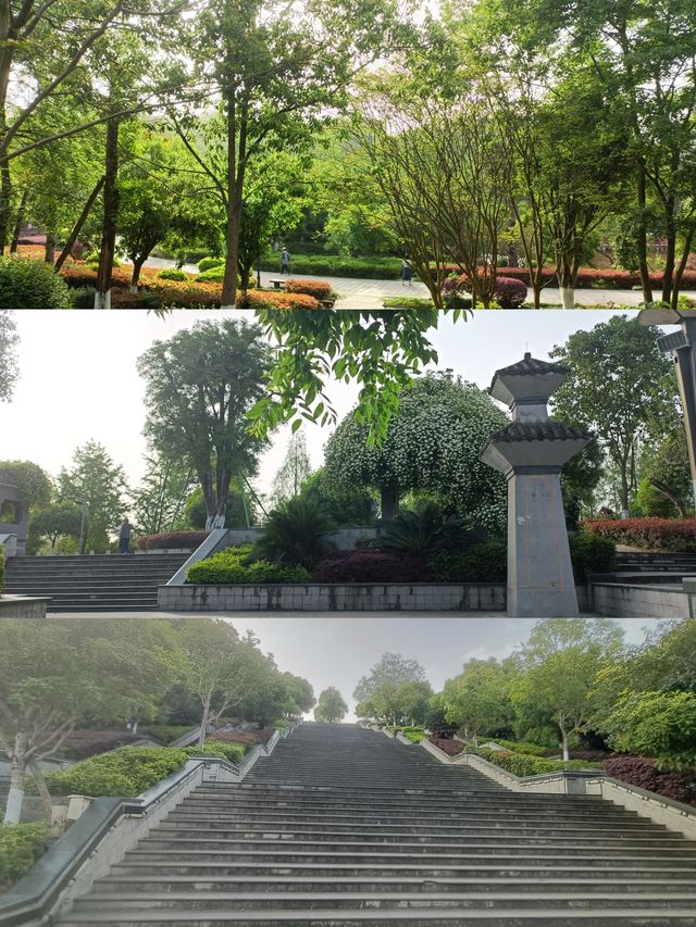 南部爬山式遊園！桂博園爬坡5分鐘，快樂一整天～