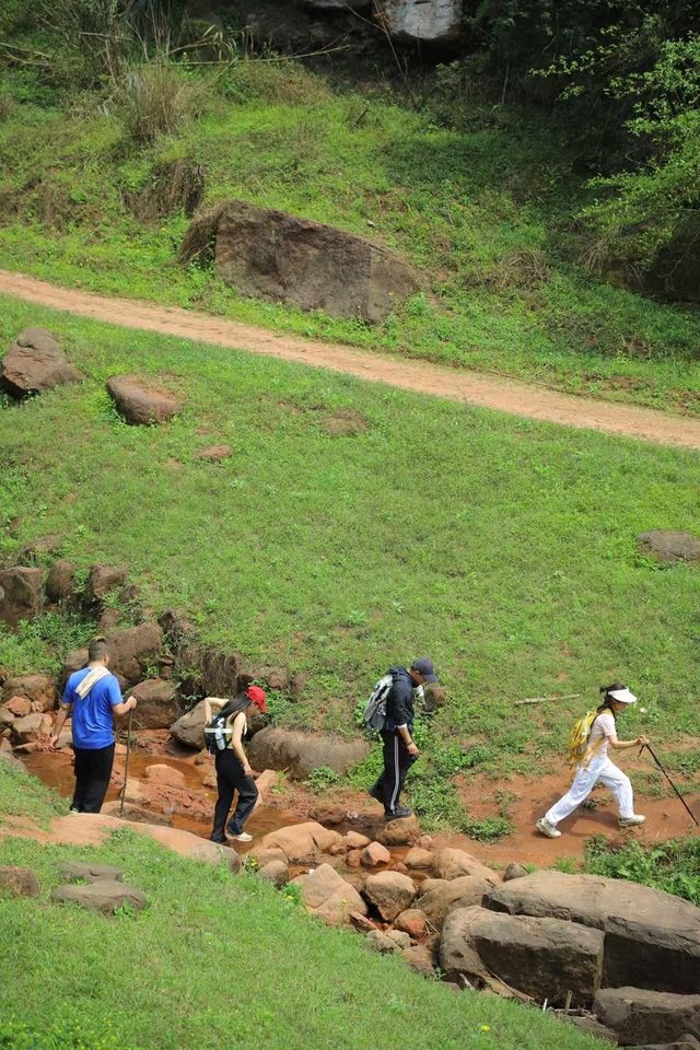 重慶23℃仙境！仙女山避暑全攻略