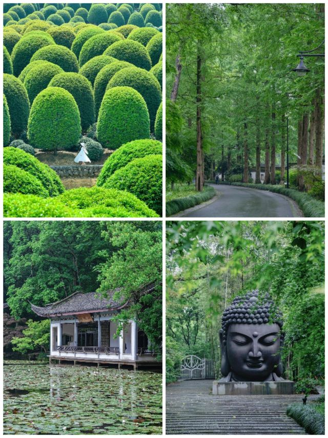 杭州3天2夜深度遊｜西湖×靈隱寺×西溪濕地全攻略