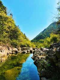 吸氧寶藏地！在天目山沉浸式感受自然靈氣
