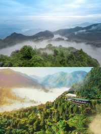 漳平岳山嘉茗～隱匿於山水的茶旅民宿