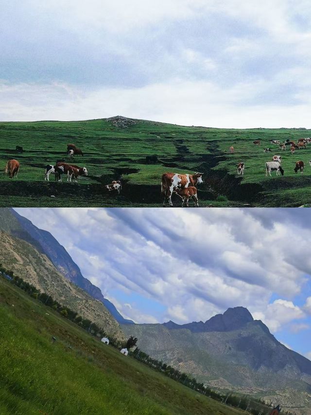 3日玩轉呼和浩特，草原沙漠寺廟都睇勻