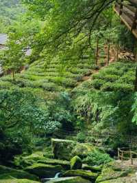 喺雅安想無限續住嘅民宿，好治癒