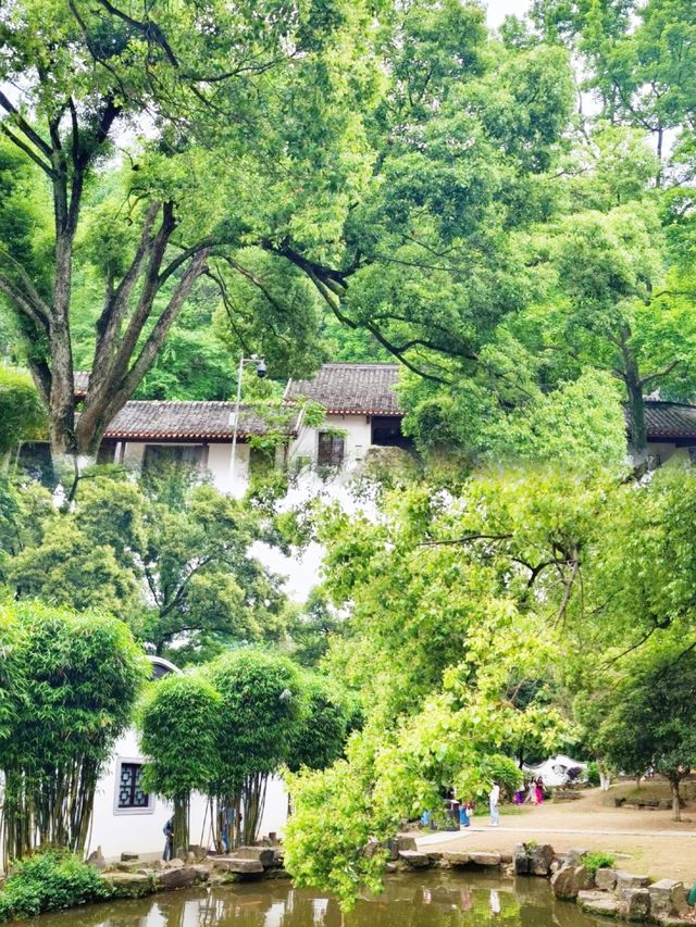 千年學府！岳麓書院深度文化漫步攻略