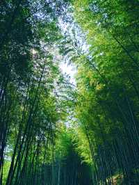 五一小眾路線皖南三日親子自駕遊，行程超詳細！