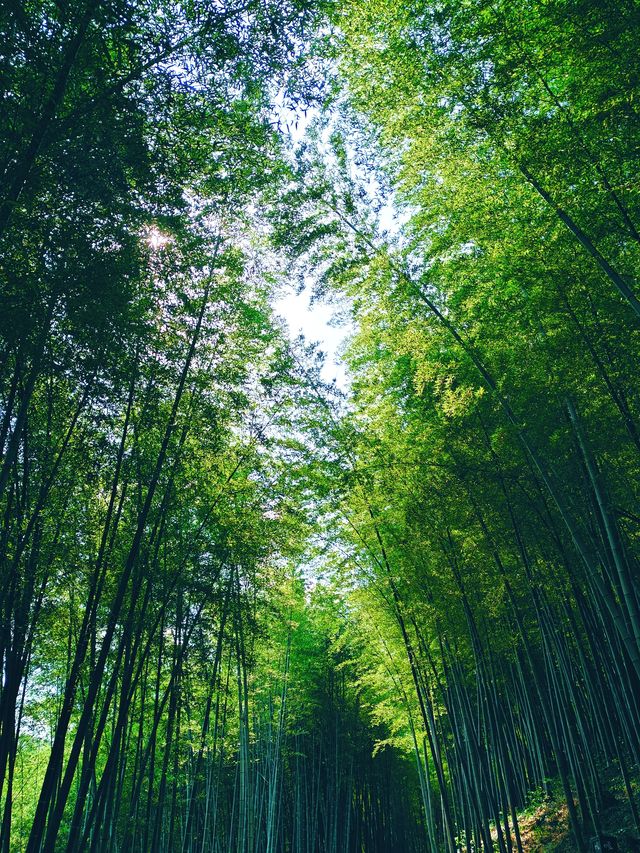 五一小眾路線皖南三日親子自駕遊，行程超詳細！