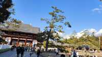 奈良東大寺，千年古剎的寂靜詩篇