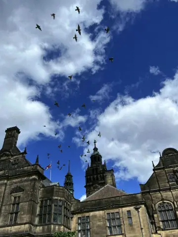 Winter Garden  is Coolest Place to Visit✨🌹