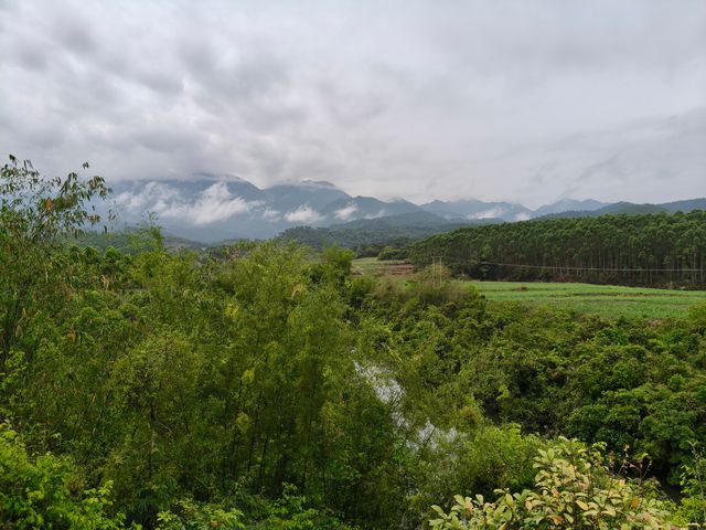十萬大山國家森林公園