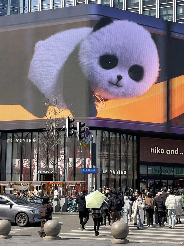 成都寶藏酒店：笨酒店 — 望平街上的舒適天地