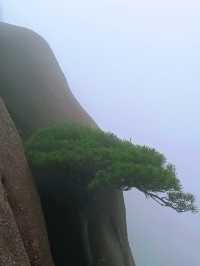 三清山雨天遊山攻略