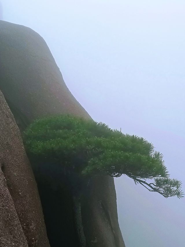 三清山雨天遊山攻略