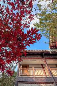 禪驛酒店（四）樂山禪驛·金葉酒店