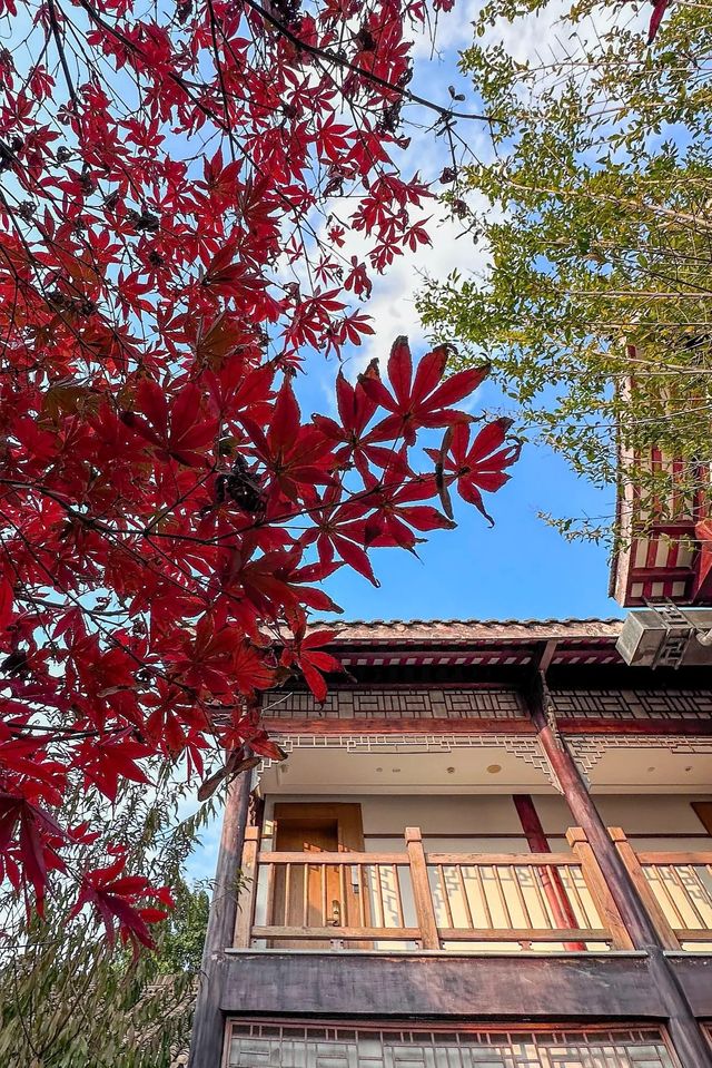 禪驛酒店（四）樂山禪驛·金葉酒店