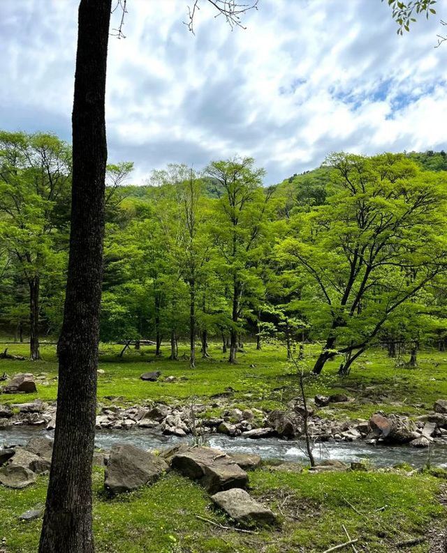 邂逅東土村嘅清涼夏日