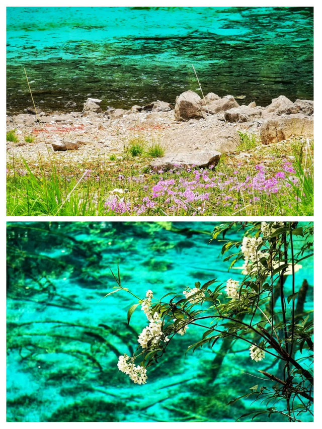 九寨溝六月限定浪漫—住進童話般的山水秘境