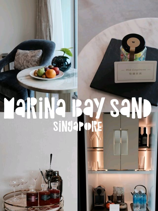 Stunning Singapore Marina Bay Sands Hotel🏨