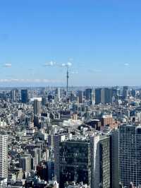 塔影與天空交匯之境：東京泛太平洋骊星酒店的無邊日記