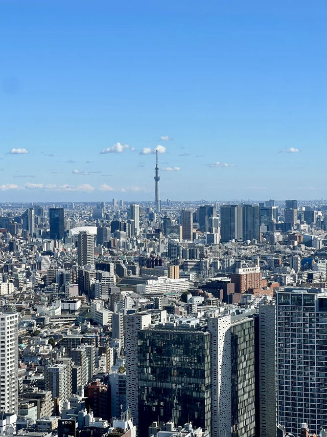 塔影與天空交匯之境：東京泛太平洋骊星酒店的無邊日記