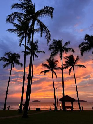 Kota Kinabalu Transportation Guide: Must-Read Before You Go!