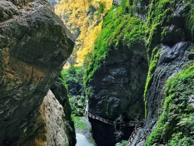 去咗武隆喀斯特旅遊區，終於玩到明晒