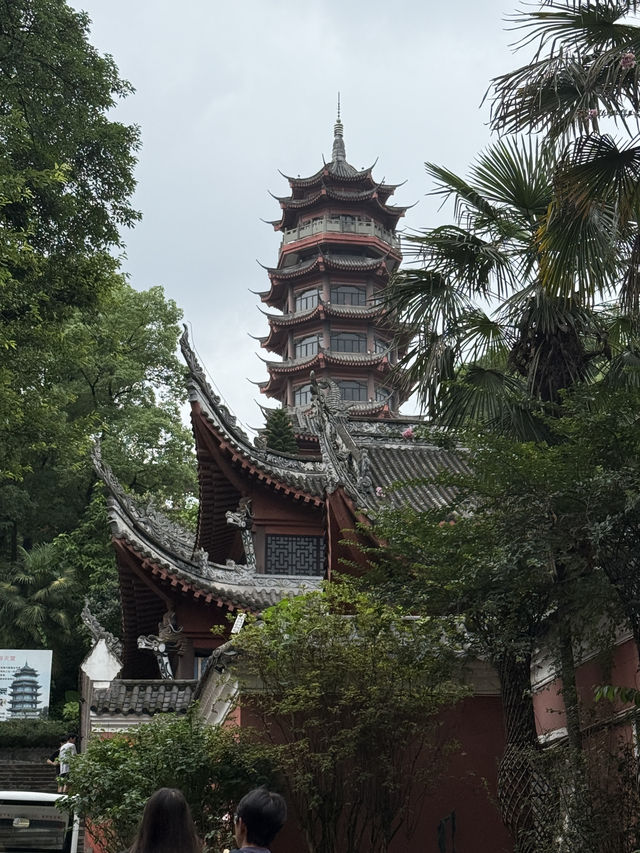 重慶华岩寺六月荷花展