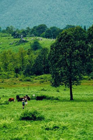 Around Chengdu │ The "Le" in Leshan originally comes from the "Le" in Altay