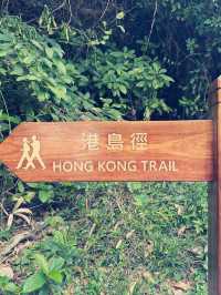 山海之約】港島徑行山全記錄：城市邊緣的絕美秘境
