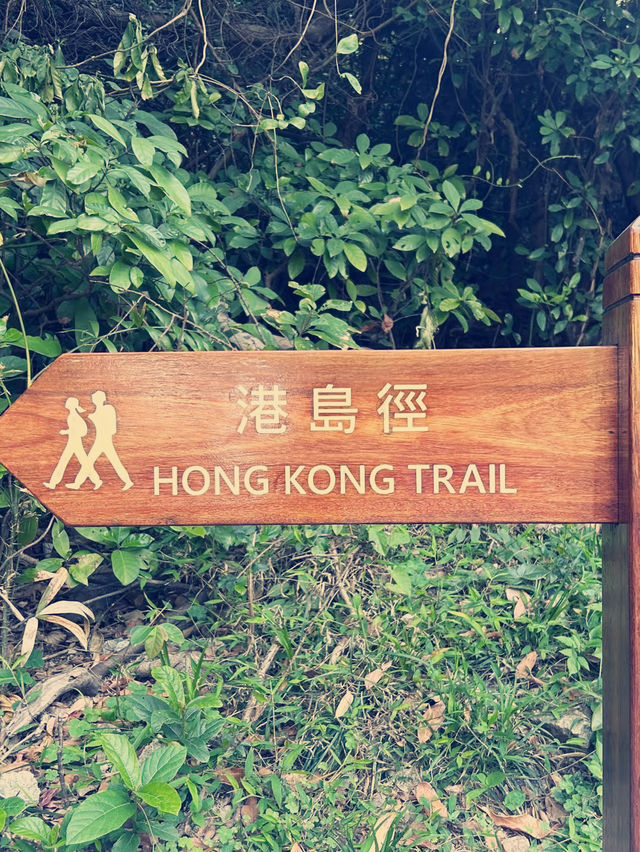 山海之約】港島徑行山全記錄：城市邊緣的絕美秘境