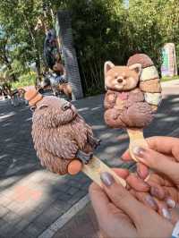 暑假帶小朋友衝北京野生動物園？先mark低呢間「夢幻之選」！