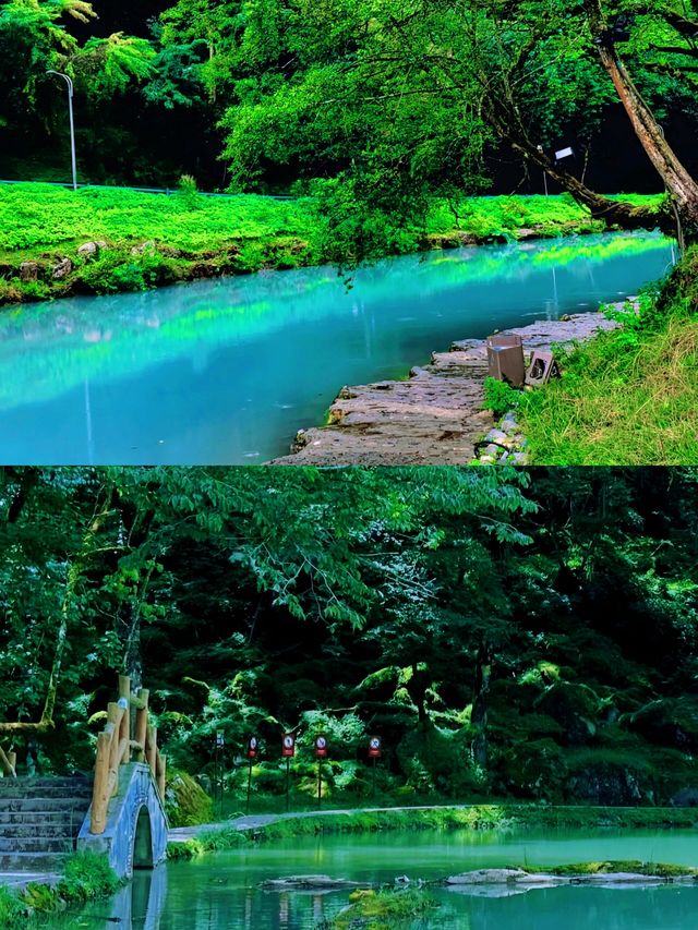 川西小眾秘境/二郎山喇叭河，靚到冇朋友