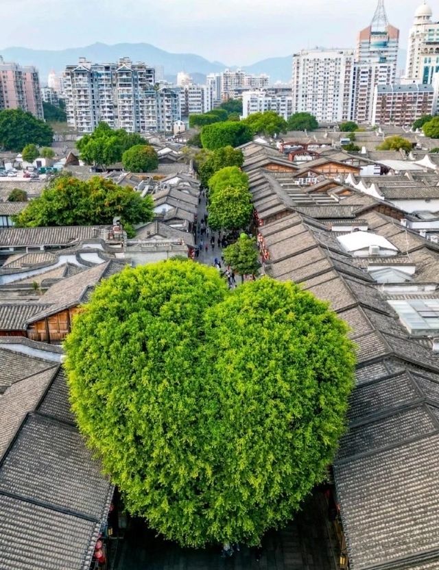 搭「多巴胺配色」動車打卡世界遺產係咩體驗？