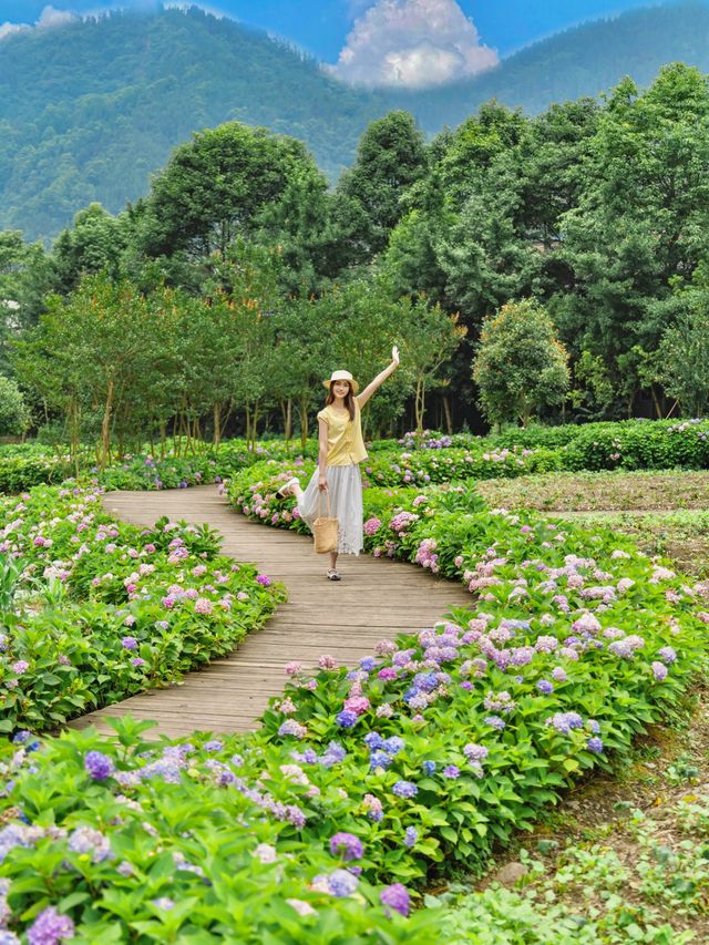 成都2小時｜玩水賞花摘藍莓值得N刷嘅避暑勝地！！喺成都周邊搵