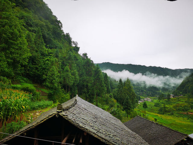住喺雲端吊腳樓