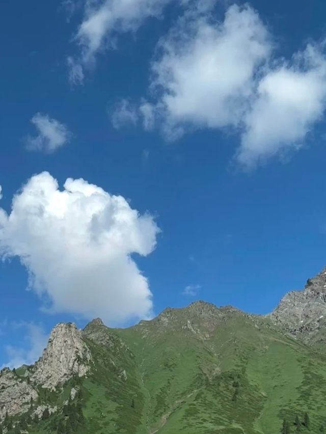 新疆自駕神路線！唐布拉→孟克特古道→那拉提，瑞士級風光免