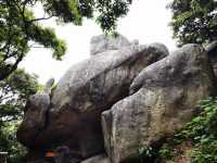 普陀山：山海之間的禪意修行之旅