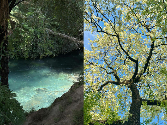 喺滇池邊，我唔見咗我嘅焦慮，想原地退休