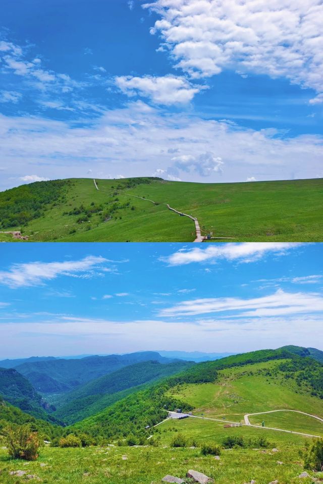 雲中草原太驚艷 一步一景美到心顫！